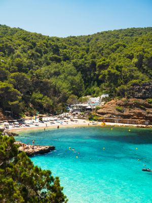 Cala Salada Beach - Ibiza's Pristine Snorkeling Paradise