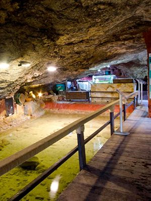 Cap Blanc Aquarium Ibiza – Explore a Natural Marine Sanctuary